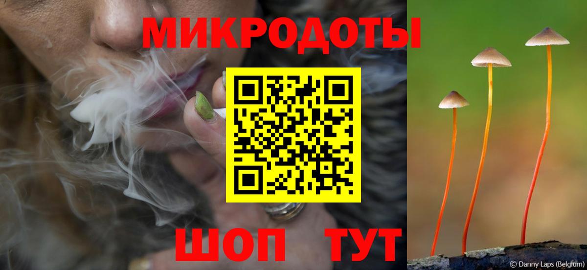 Псилоцибиновые грибы прущие грибы  Галлюциногенные грибы Psilocybine cubensis  Ипатово  Вход с VPN 